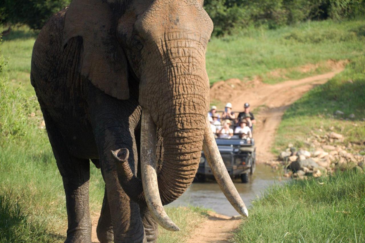 Karongwe Portfolio - Kuname Lodge Karongwe Game Reserve Экстерьер фото