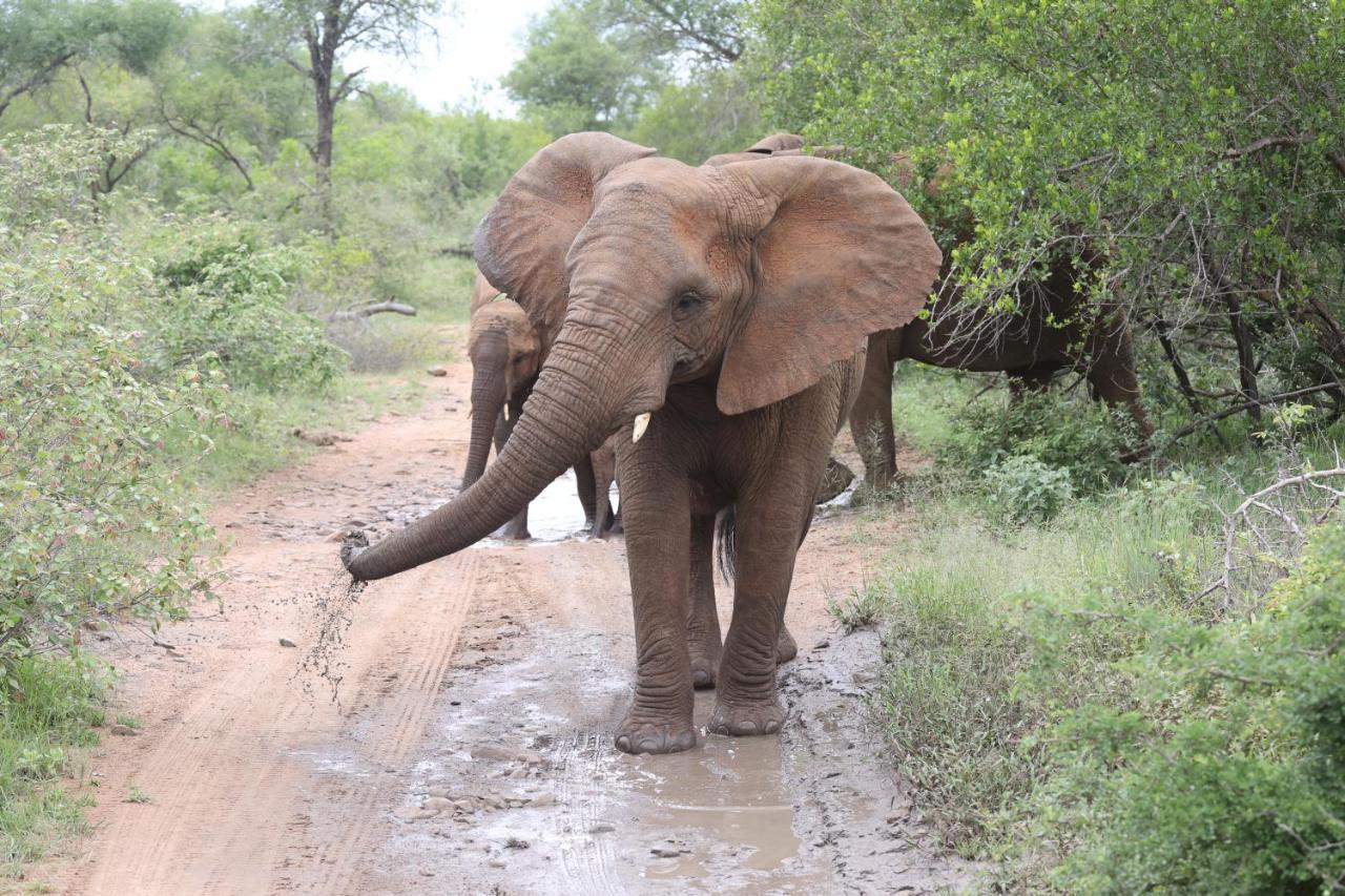 Karongwe Portfolio - Kuname Lodge Karongwe Game Reserve Экстерьер фото