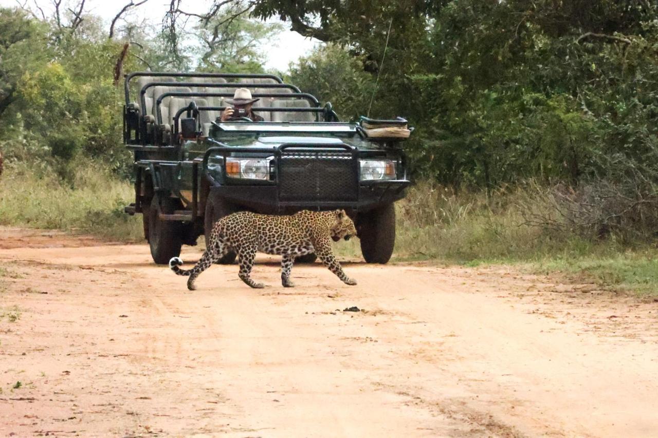 Karongwe Portfolio - Kuname Lodge Karongwe Game Reserve Экстерьер фото